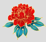 牡丹花卉