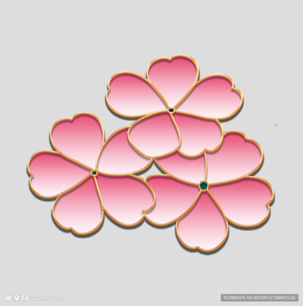 牡丹花卉
