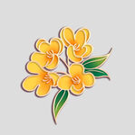 牡丹花卉