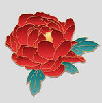 牡丹花卉
