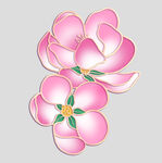 牡丹花卉