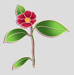 牡丹花卉