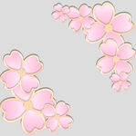 牡丹花卉