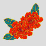 牡丹花卉