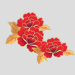 牡丹花卉