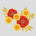 牡丹花卉