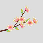 牡丹花卉