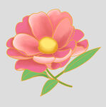 牡丹花卉