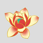 牡丹花卉