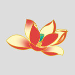 牡丹花卉