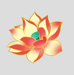 牡丹花卉