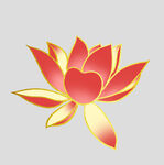 牡丹花卉