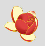 牡丹花卉