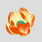 牡丹花卉