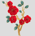牡丹花卉
