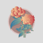牡丹花卉