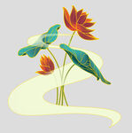 牡丹花卉