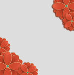 牡丹花卉