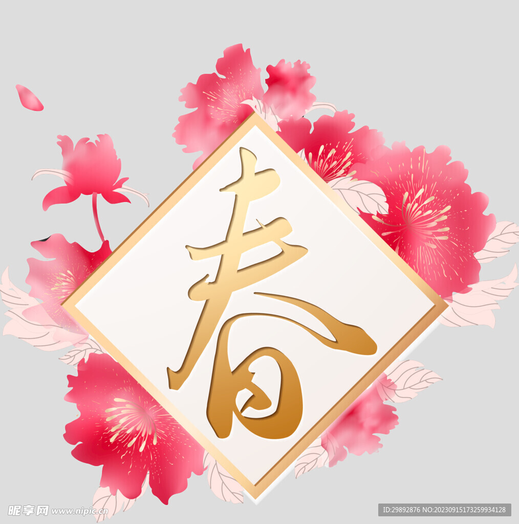 牡丹花卉