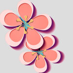 牡丹花卉