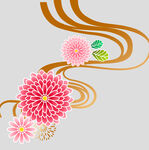 牡丹花卉