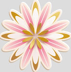 牡丹花卉