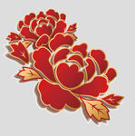 牡丹花卉