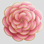 牡丹花卉