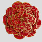 牡丹花卉