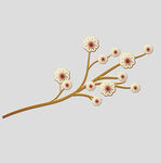 牡丹花卉