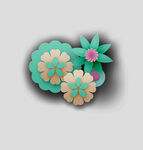 牡丹花卉