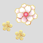 牡丹花卉