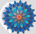 牡丹花卉