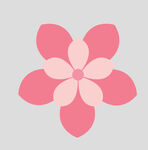 牡丹花卉