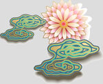 牡丹花卉