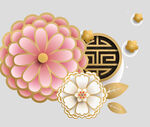 牡丹花卉