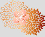 牡丹花卉