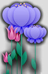 牡丹花卉