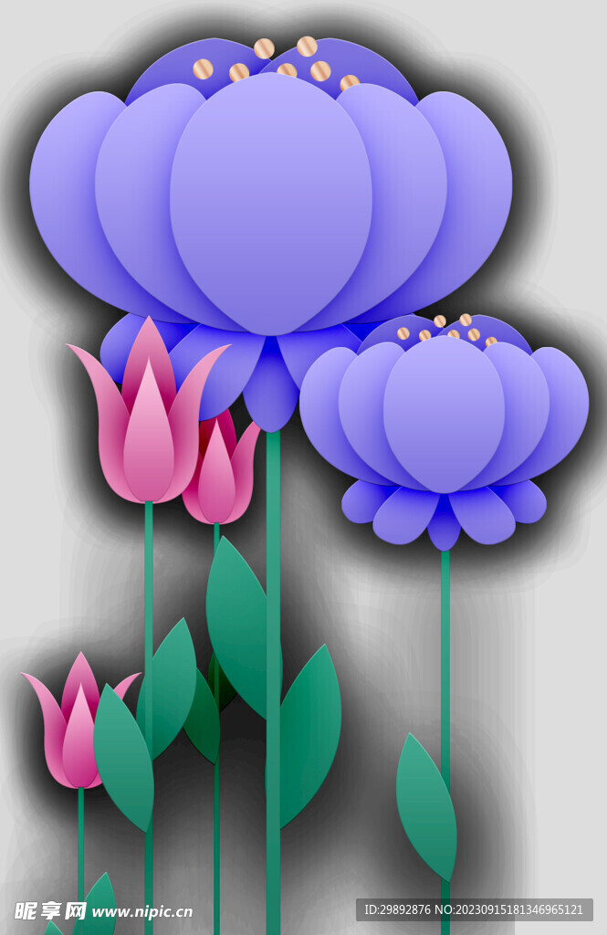 牡丹花卉