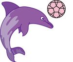 紫豚玩球