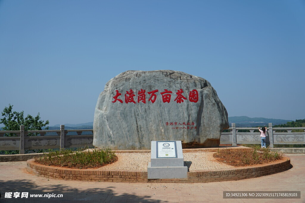 景洪大渡岗万亩茶园石碑和吉尼斯