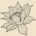莲花线描