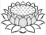 莲花线描