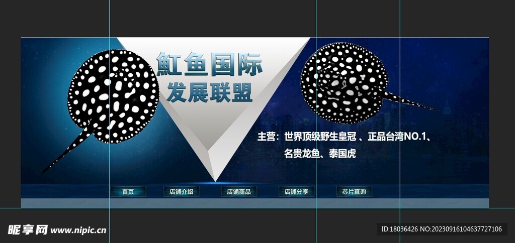魟鱼观赏鱼水族海报banner