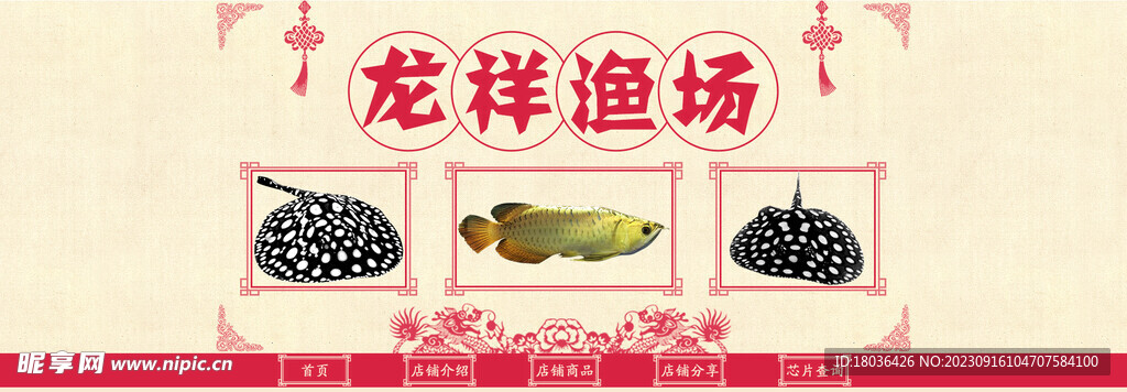 水族观赏鱼海报banner