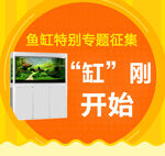 观赏鱼水族鱼缸banner