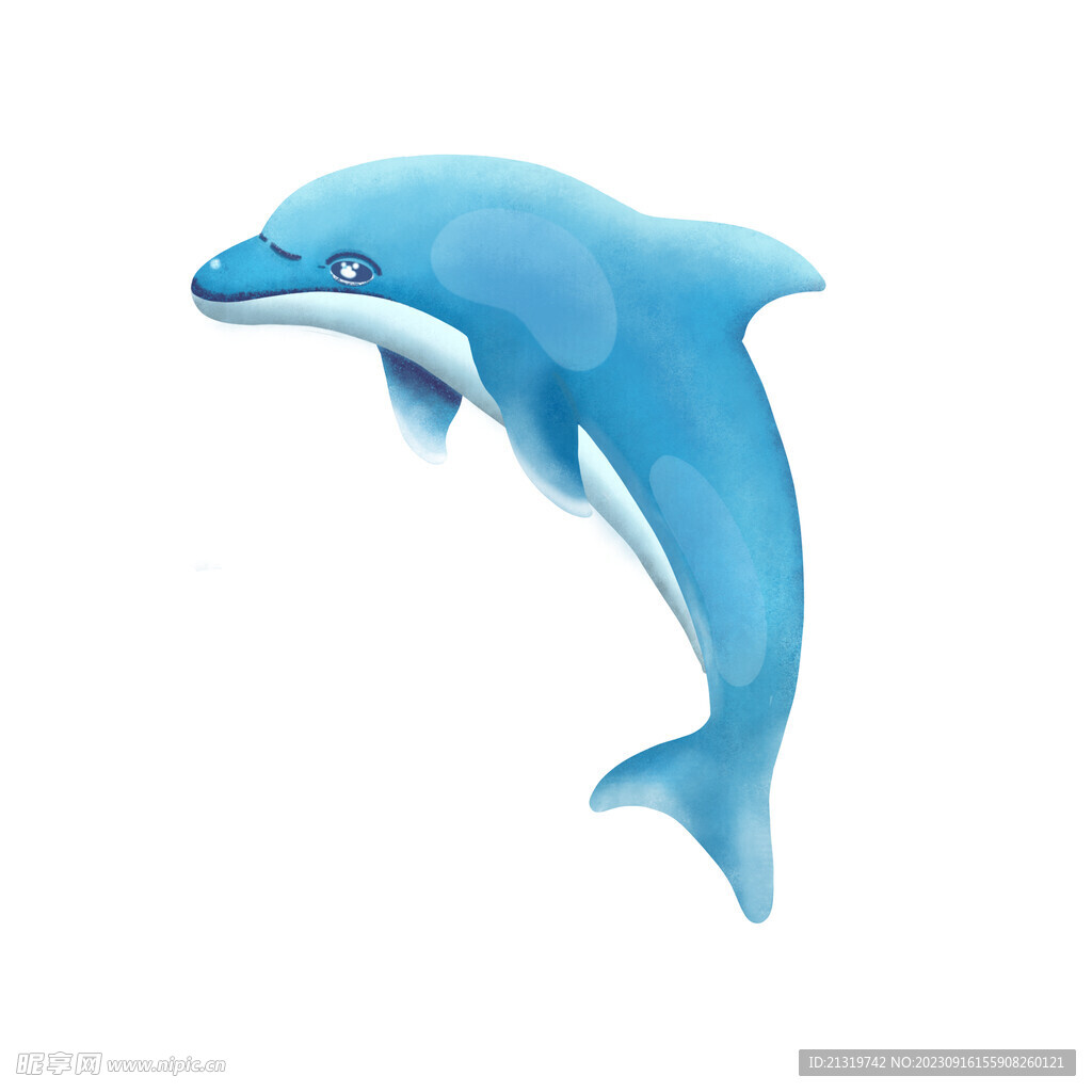 海豚插画
