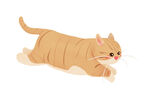 手绘猫咪插画