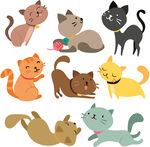猫咪