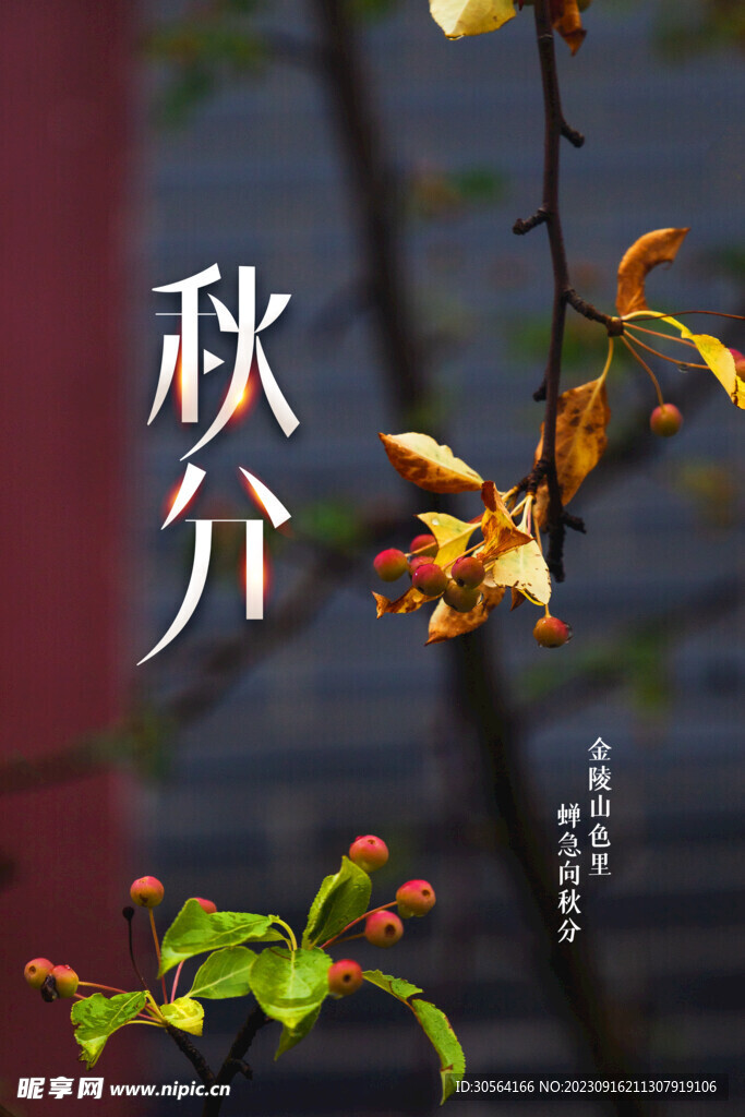 秋分